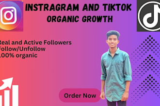 do organic instagram and tiktok growth and fast engagement