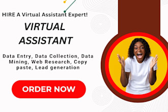 our virtual assistant for data entry, web research, blog, or product upload