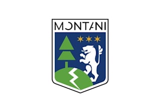 design travel bring family coat of arms logo