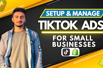 setup and manage tik tok ads, marketing, shop for small businesses