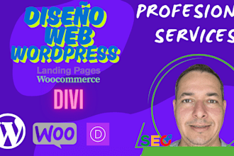 design a professional wordpress website with divi