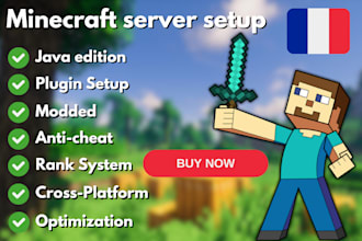 setup your professional minecraft server