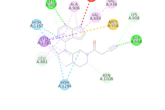 perfom bioinformatics and genomics data analysis