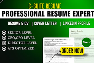 write and redesign your resume or CV in 24 hours