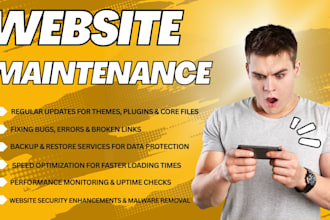 do wordpress website maintenance, support and customization