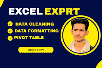 do ms excel or CSV data cleaning and anlysis formatting