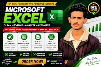 do ms excel or CSV data cleaning and anlysis formatting