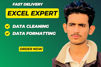 do ms excel or CSV data cleaning and anlysis formatting