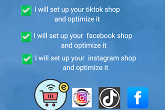 set up and optimize your tiktok,instagram and facebook shop