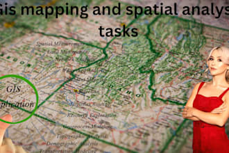 do high quality gis mapping and spatial analysis tasks