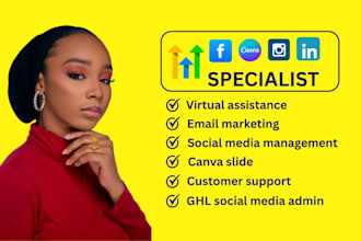 be your executive virtual assistance long term personal admin ghl social media