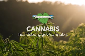 hemp weed cannabis marijuana landing page marijuana website cbd website