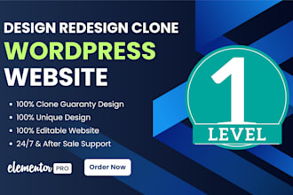 duplicate, redesign, copy clone website or design wordpress website
