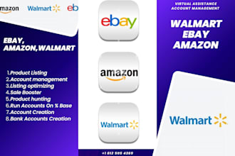 e commerce virtual assistant walmart ebay  amazon store