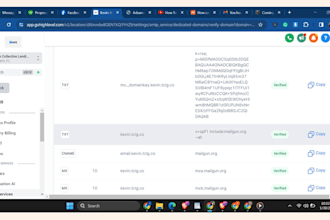 fix email deliverability on go high level, fix ghl email problems, verify dns