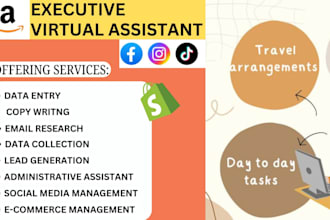 be your personal executive virtual assistant for data entry and admin support