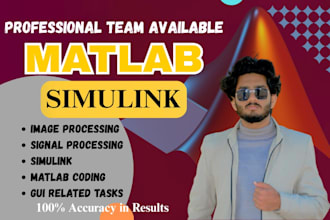 help out in simulink, image and signal processing