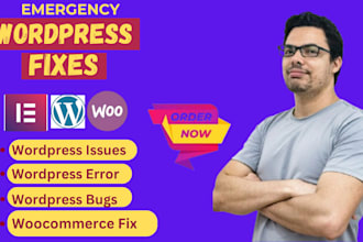 fix wordpress emergency errors