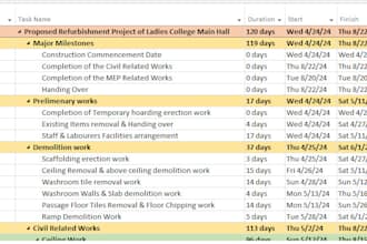 build a detailed gantt chart and timeline in ms project