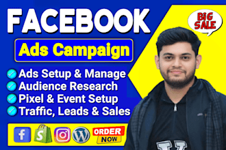 setup facebook ads campaign, meta ads, for leads and sales, instagram marketing