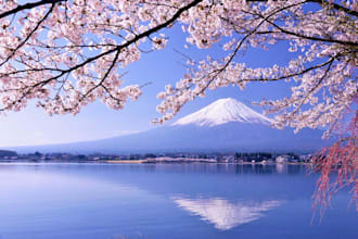 help you with your business in japan