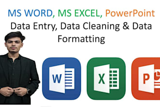 ms word,  excel, and ppt, data entry, cleaning, formatting and file conversion