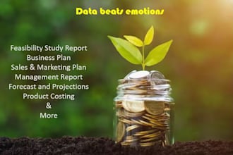 prepare intelligible business and financial plans for you