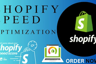 do increase speed, website optimization, speed optimisation, shopify page speed
