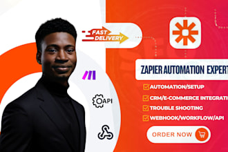 setup zapier automation,zapier integration,zapier webhook,zapier API expert