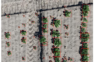 do object detection, segmentation, image alignment with deep learning