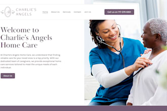 do professional homecare website health elderly medical charity wordpress site