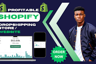 build automated passive income dropshipping shopify website, shopify store