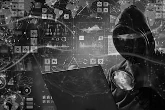 investigate cryptocurrency wallets and transactions