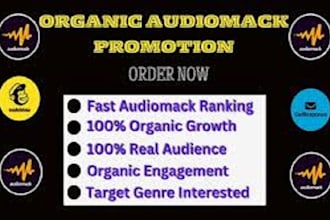 promote any song on soundcloud, bandcamp, audiomack, tidal and google play music