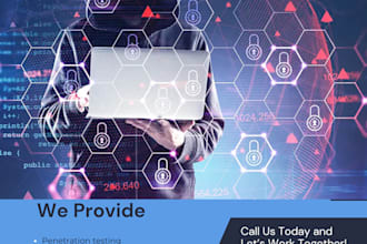 provide penetration testing and IT services
