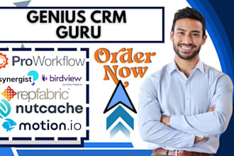 do office timeline synergist motion io birdview proworkflow nutcache repfab crm