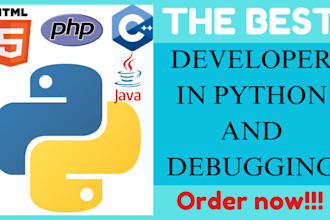 write and debug javascript, php, html css, python, wordpress scripts