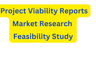 do market research, project viability reports and feasibility study