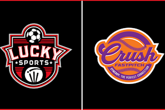 do baseball team jersey or sports club logo design