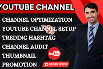 be your youtube channel manager, channel audit, promotion and video SEO expert
