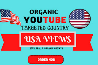 boost your youtube success with quality USA you tube traffic and video promotion