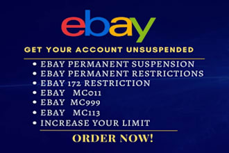 reinstate ebay permanent restriction appeal letter, mc999 mc113 ebay suspension