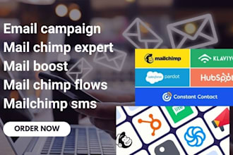 do email campaign blast, emails sms automation, newsletter template in 12 hours