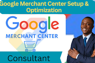 provide expert google merchant center consultation advanced optimization