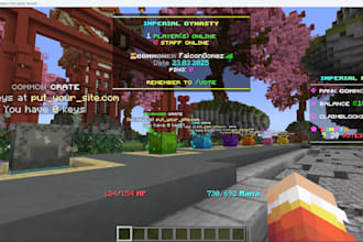 set up a survival minecraft java server for you