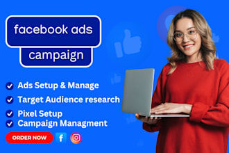 set up  facebook ads campaigns