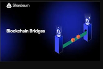 build presale dex bridge staking web3 defi dapp, multichain dex  whomhole token
