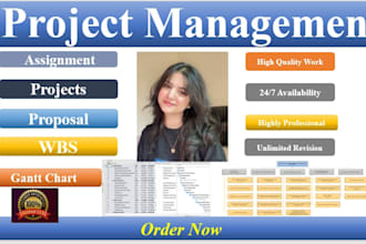 assist in project management assignment