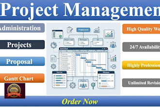 assist in business, management, and finance tasks