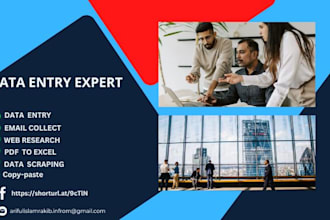 data entry, email collect, pdf to excel, web research